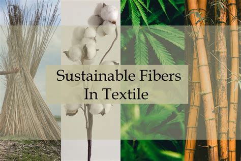 Hemp: Unraveling the Fibers of Sustainability and Industrial Innovation!